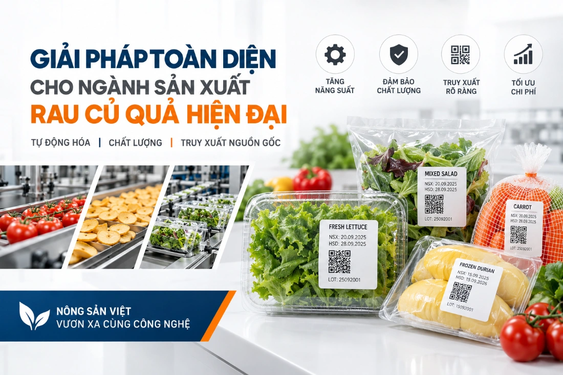 Giải pháp dành cho ngành sản xuất rau củ quả hiện đại