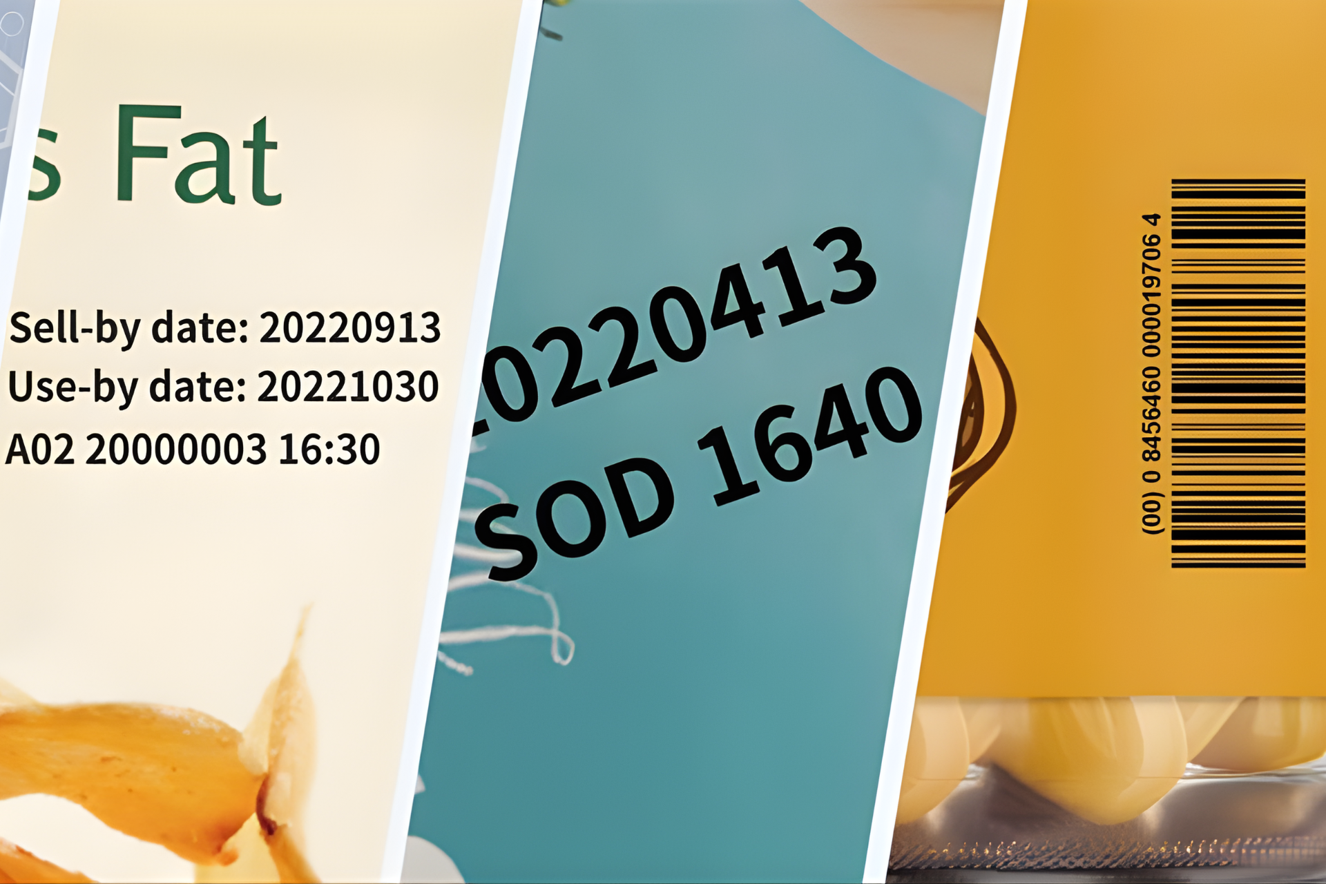 Máy in truyền nhiệt (TTO) là gì? Các loại máy in TTO phổ biến