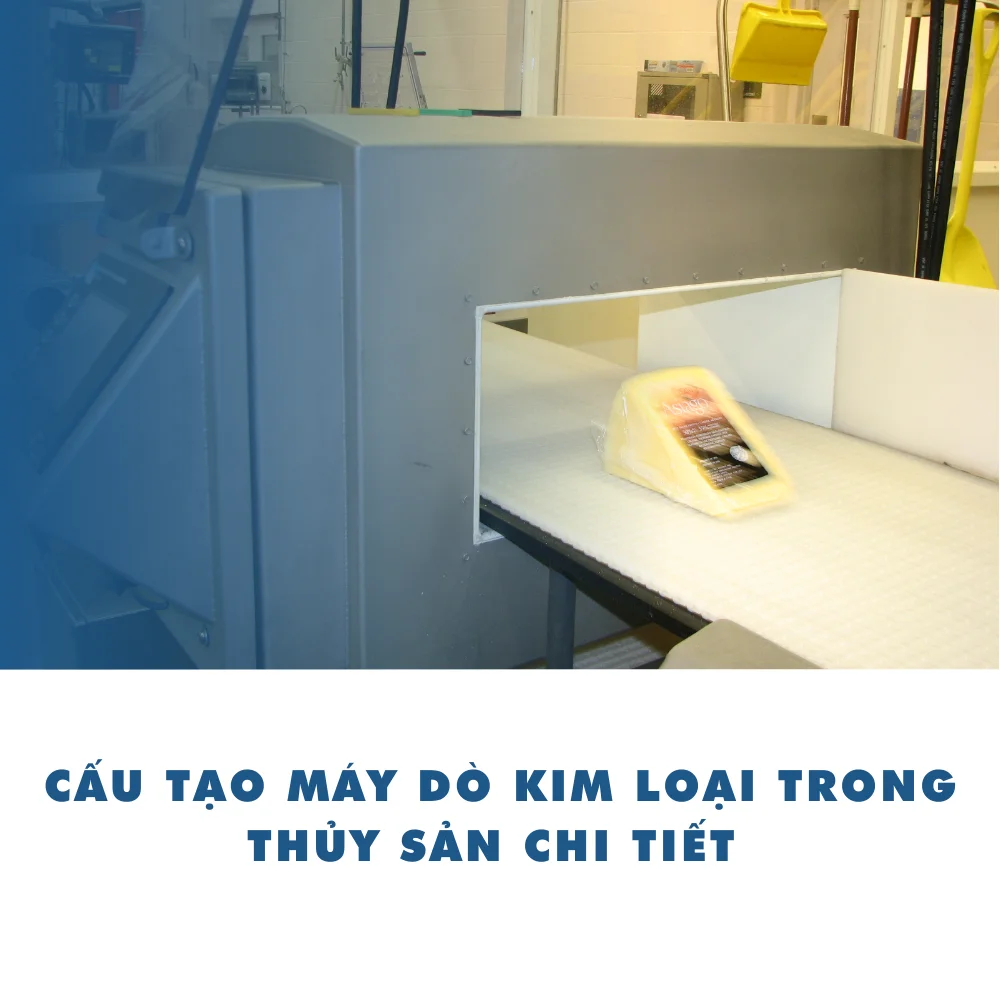 Cấu tạo máy dò kim loại trong thủy sản chi tiết