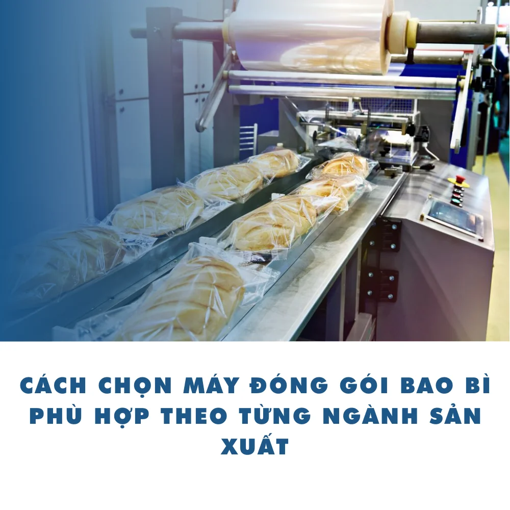 Cách chọn máy đóng gói bao bì phù hợp theo từng ngành sản xuất