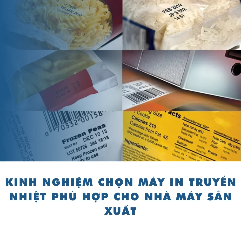 Kinh nghiệm chọn máy in truyền nhiệt phù hợp cho nhà máy sản xuất