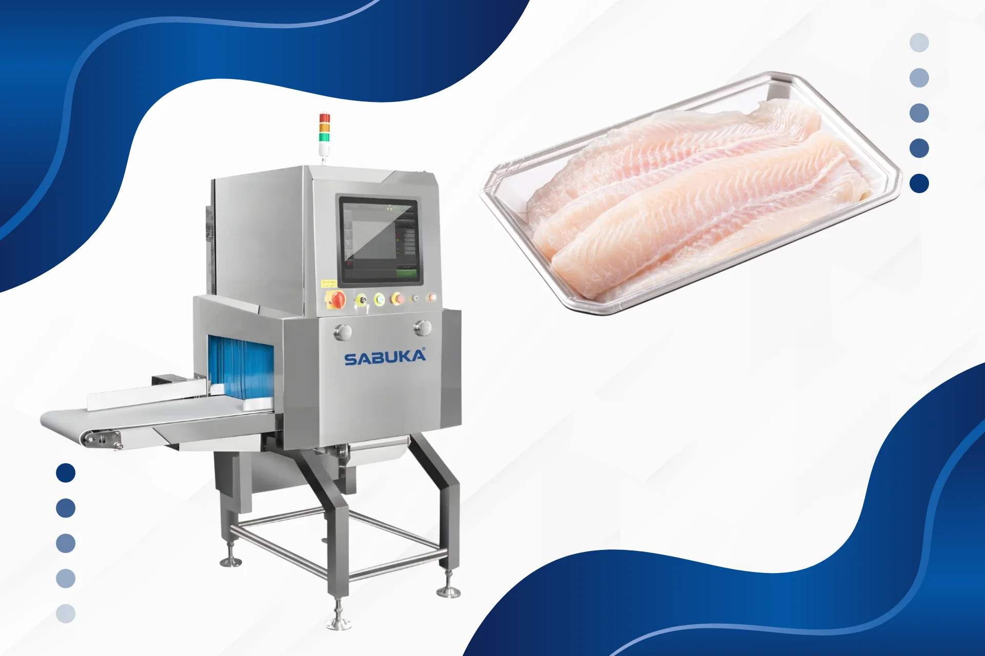 Máy dò tạp chất X-ray ngành thủy hải sản đông lạnh đạt chuẩn