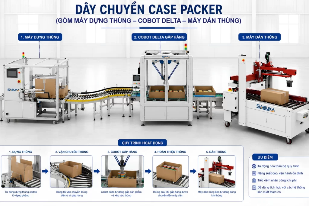 Giải pháp đóng thùng tích hợp tự động tối ưu cho ngành thực phẩm của CVM Group