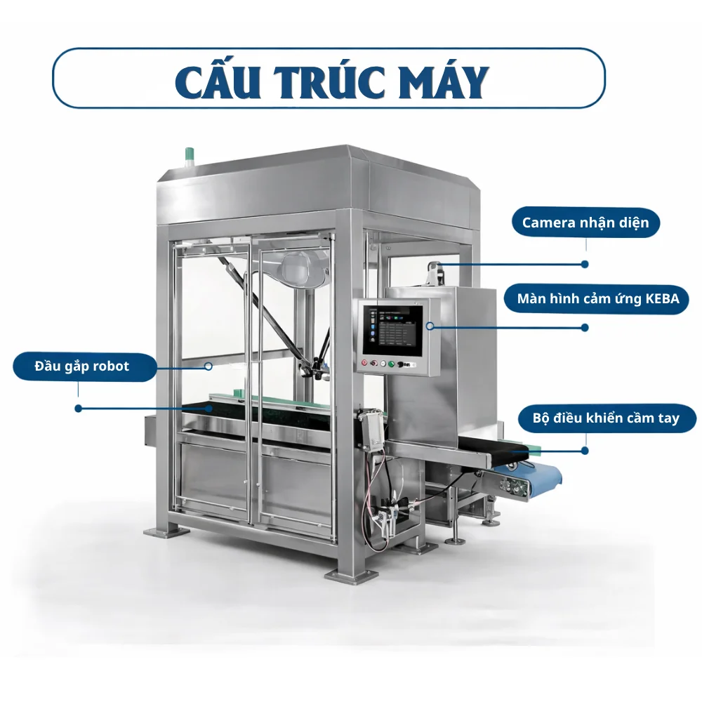 Robot delta gắp đặt túi vào thùng carton tự động chính xác