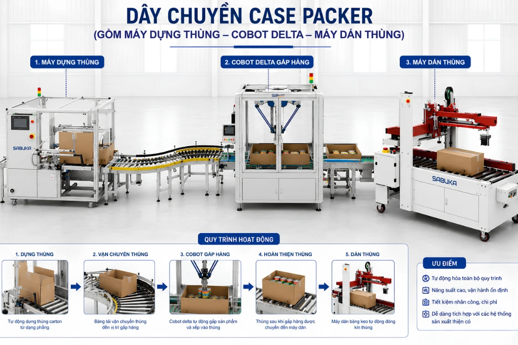 Giải pháp đóng thùng tích hợp tự động tối ưu cho ngành thực phẩm của CVM Group
