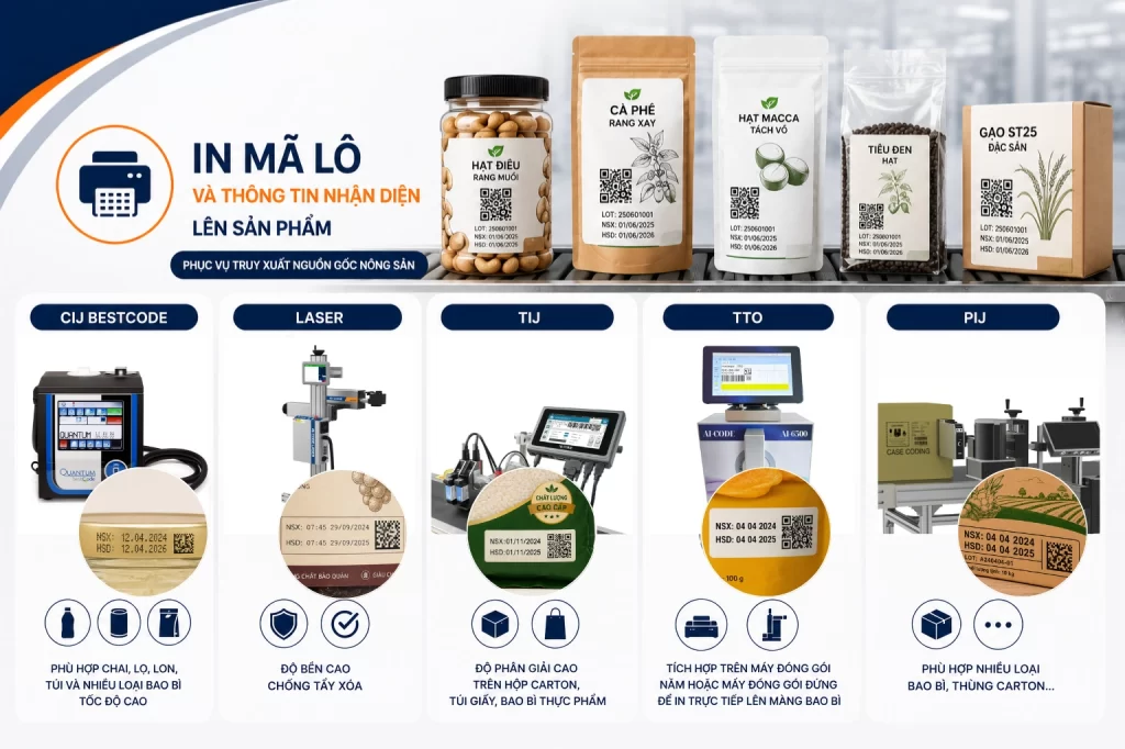 In mã lô và thông tin nhận diện lên sản phẩm