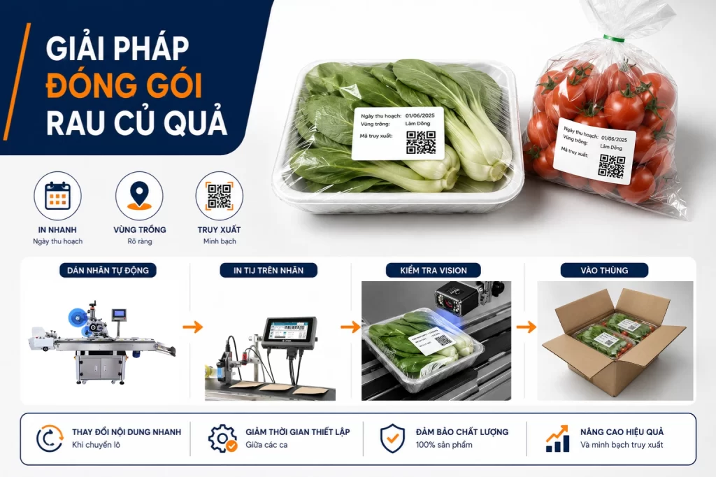 Giải pháp Doanh nghiệp đóng gói rau củ quả