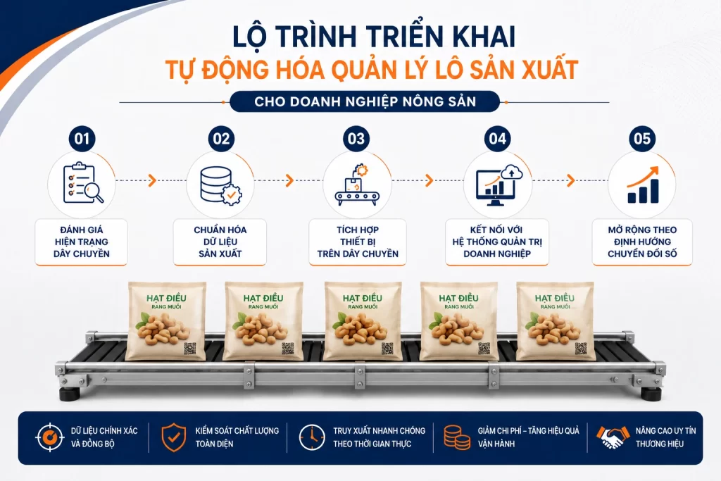 Lộ trình triển khai tự động hóa quản lý lô sản xuất cho doanh nghiệp nông sản
