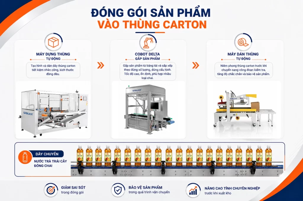 Đóng gói sản phẩm vào thùng carton