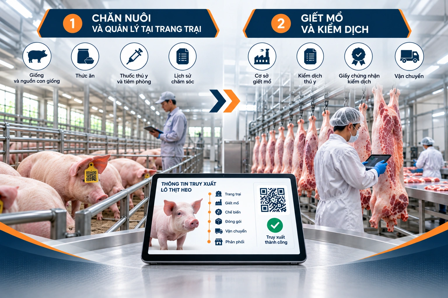 Quy trình truy xuất nguồn gốc thịt heo bằng QR Code trong dây chuyền sản xuất