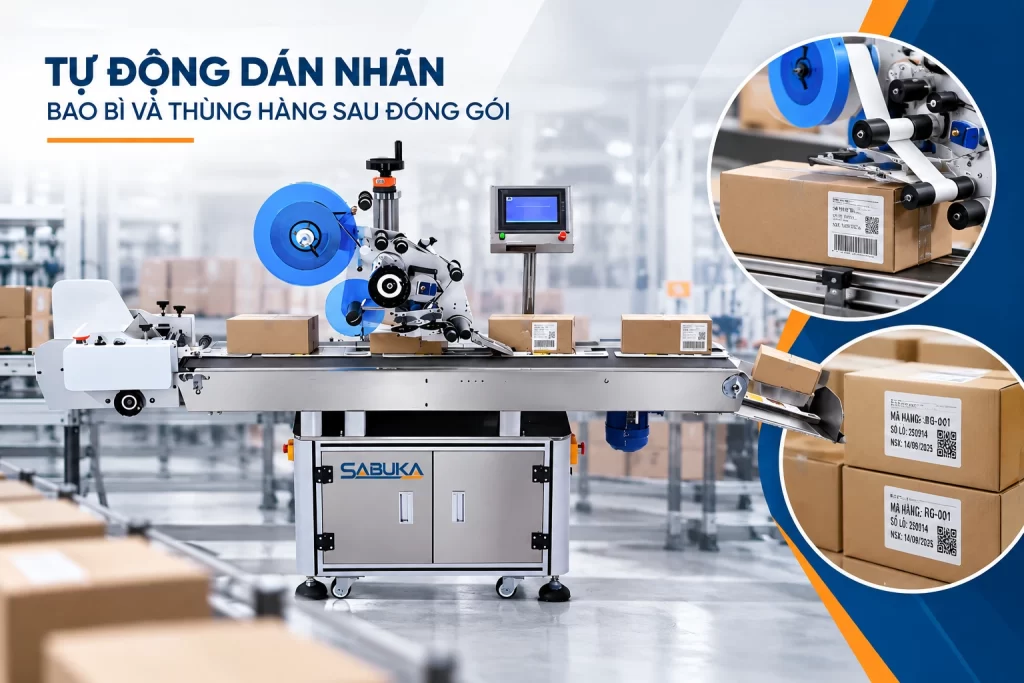 Giải pháp tự động hóa công đoạn đóng gói cuối dây chuyền sản xuất cao su